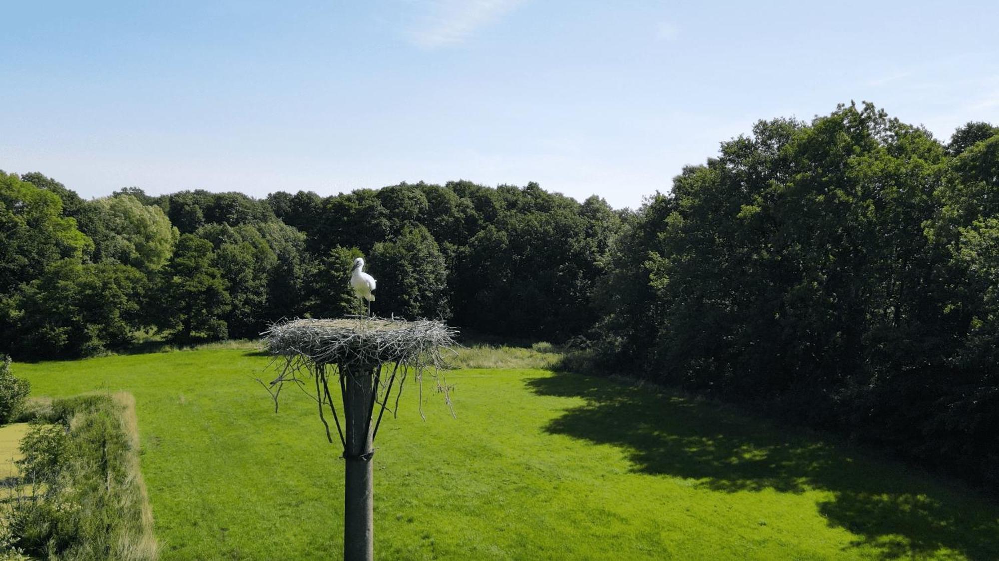 Fuchsbau Hotel Walsrode Bagian luar foto